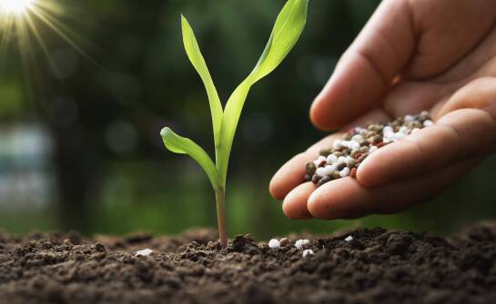 Nawozy dolistne – co oferuje sklep rolniczy dla zwiększenia plonów?