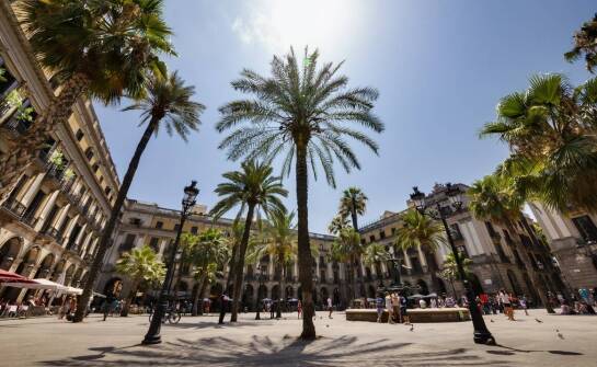 Spacer po Starym Mieście Rodos: zanurz się w historii i kulturze