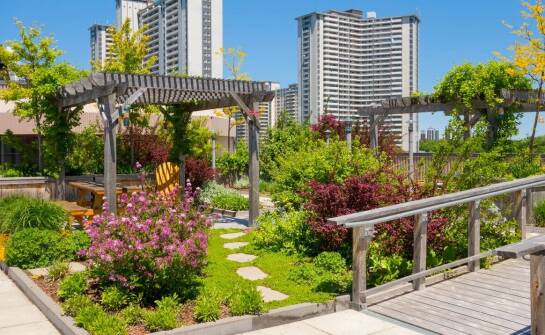 Zalety platform dla niepełnosprawnych w domach jednorodzinnych