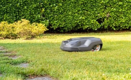 Poradnik zakupowy: na co zwrócić uwagę wybierając kosiarkę z silnikiem indukcyjnym?