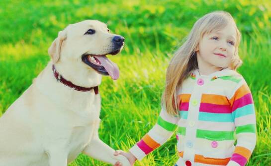 Odporność na zarysowania – kluczowa cecha naszych zdjęć nagrobkowych