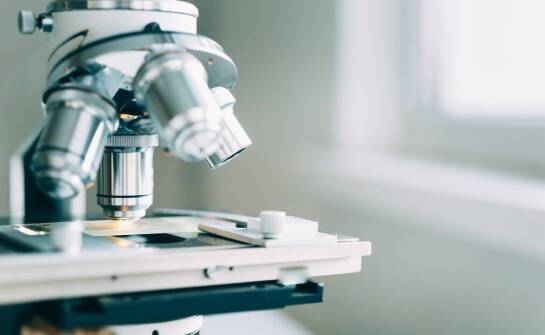 Jakie są najnowsze trendy w produkcji odczynników do mikroskopii elektronowej?