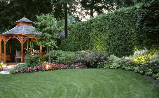 Trawniki z rolki a ich wpływ na ekosystem ogrodowy