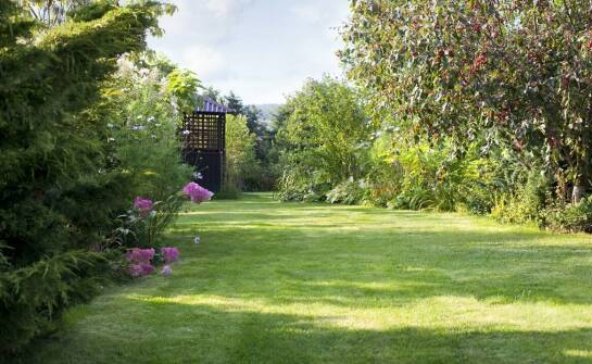 Trawniki z rolki na terenach sportowych – jakie czynniki wpływają na ich wybór?