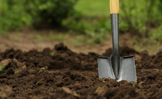 Optymalizacja pracy w ogrodzie dzięki karczownicy Orec