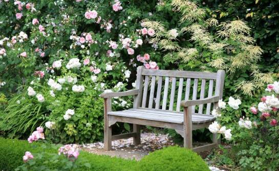 Nowoczesne podpory kwiatowe: Jak wybrać odpowiedni styl do twojego ogrodu?