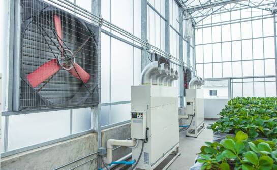 Zastosowanie dmuchaw typu Roots w systemach uzdatniania powietrza