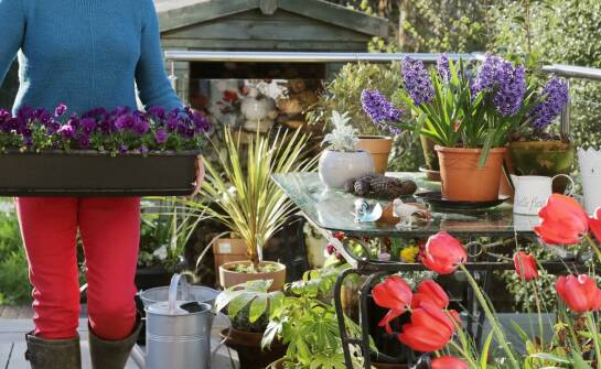 Personalizacja doniczek z deski kompozytowej dla unikalnych aranżacji ogrodowych