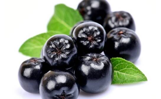 Odkryj tajemnice aronii liofilizowanej jako superfood w codziennej diecie