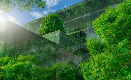 Wpływ transparentnych ekranów LED na efektywność działań promocyjnych