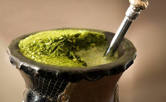 Jakie jest zastosowanie koncentratu ziołowego Annona muricata?