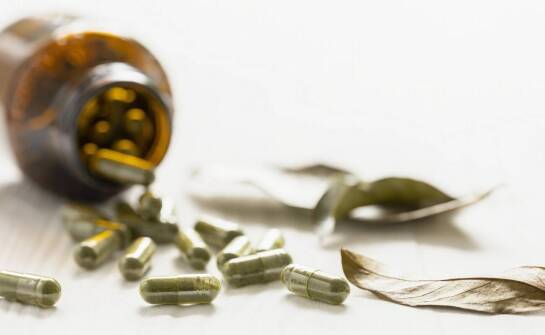 Żywica Croton lechleri jako składnik suplementów diety