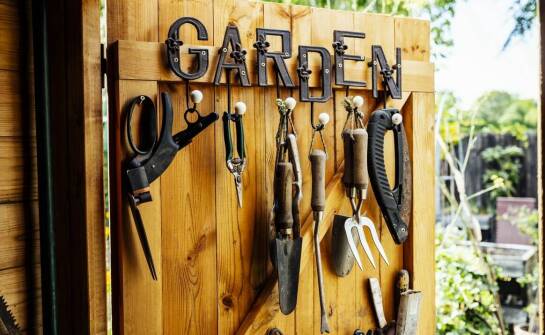 Ekspert radzi: jak projektować tereny zielone z pomocą centrum ogrodniczego?