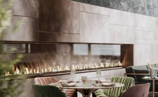 Jakie gatunki drzew palmowych najlepiej pasują do nowoczesnych wnętrz?