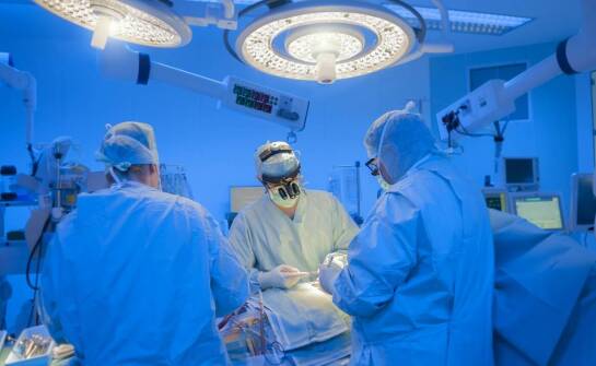 Jak narkoza wziewna zwiększa bezpieczeństwo operacji u zwierząt?