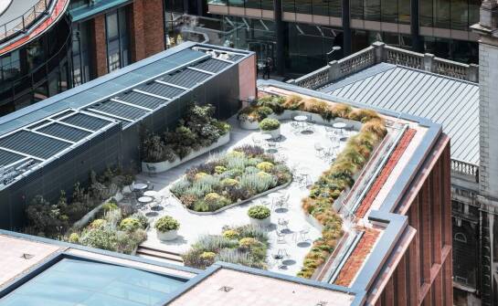 Zalety uproszczonego intensywnego zazielenienia dla lekkich dachów