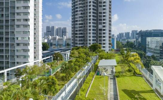 Substraty mineralne a ich wpływ na bioróżnorodność miejską