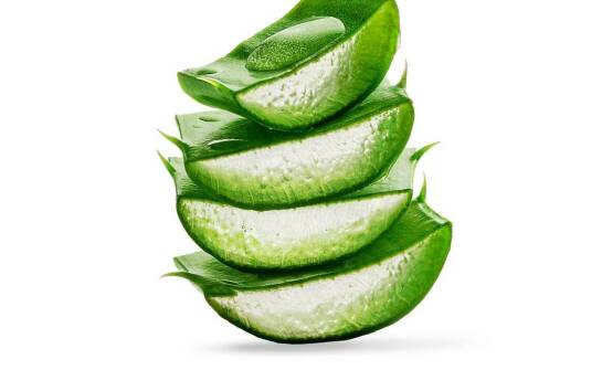 Liść aloesu w kuchni azjatyckiej: nowe możliwości kulinarne