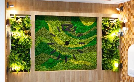 Jak oświetlenie LED wspiera wzrost roślin w ogrodach wertykalnych na ścianie?