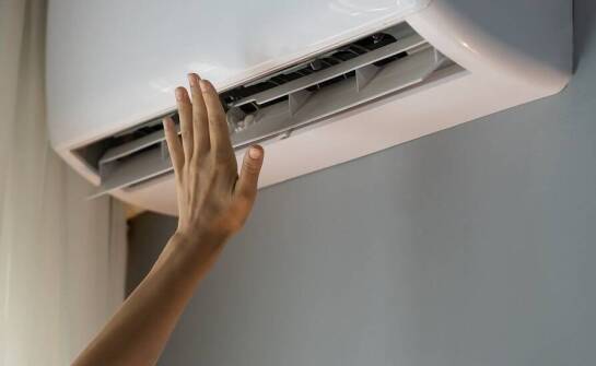 Rola odgrzybiania w zapewnieniu świeżości powietrza wewnętrznego