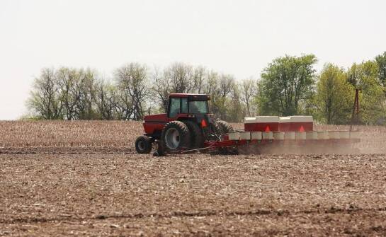 Zastosowanie strip-till a efektywność nawożenia w uprawach wielkopolskich