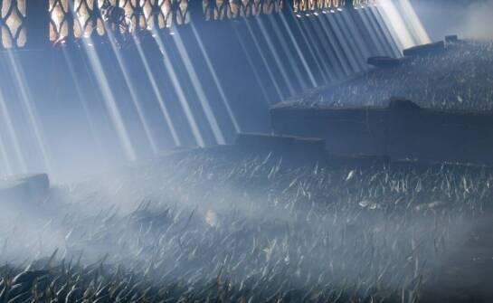 Ekonomiczne ściółki dla koni – jakie mają zalety ekologiczne?