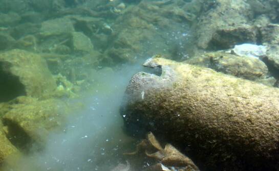 Jak skuteczna hydroizolacja wpływa na ekosystemy wokół oczek wodnych?