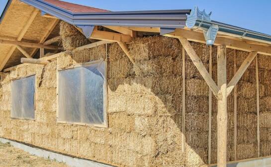 Ekonomiczne ściółki dla koni a poprawa warunków zdrowotnych zwierząt