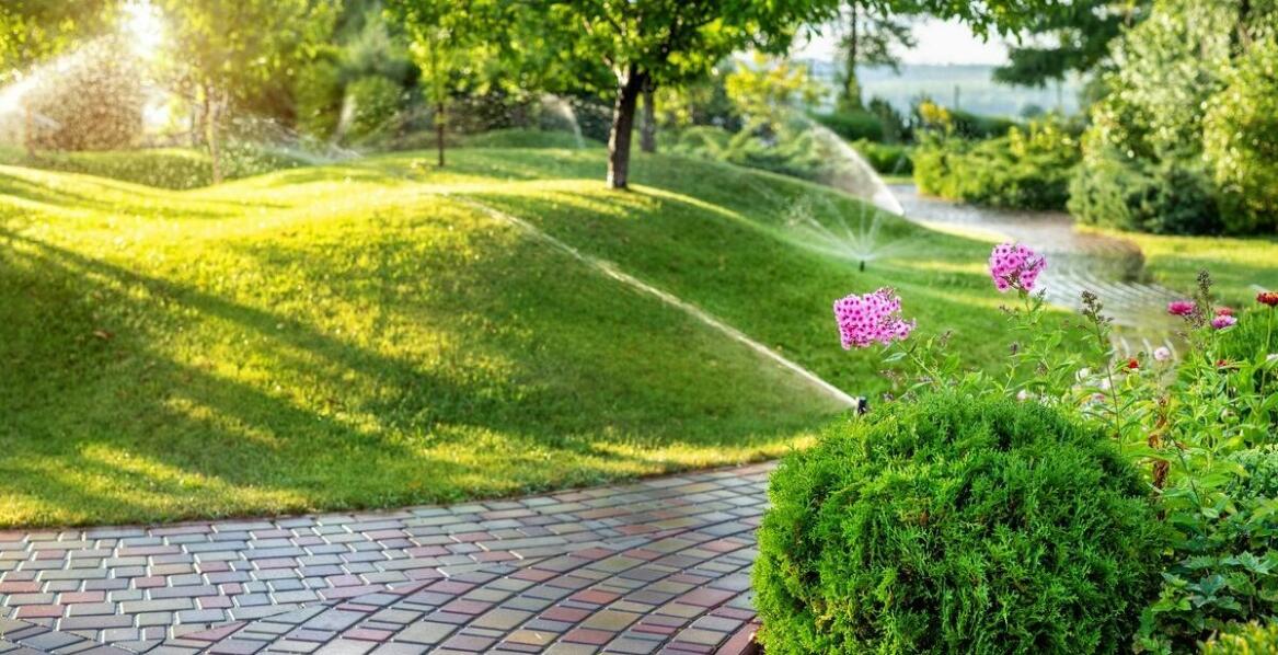 Jak nawadnianie automatyczne wpływa na zdrowie i wzrost roślin?