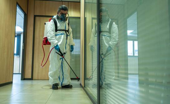 Jak utrzymać czystość mikrobiologiczną po zwalczaniu pcheł?