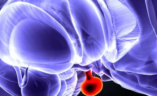 Znaczenie analizy lokalizacji i wielkości guzów przysadki