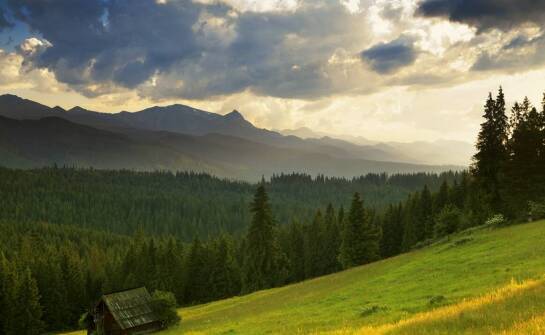 Efektywność inwentaryzacji przyrodniczych w planowaniu ochrony środowiska