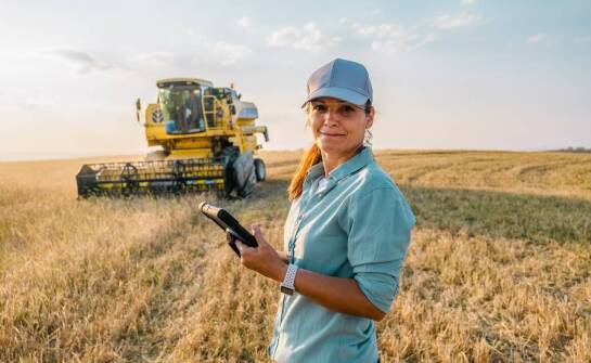 Skup rzepaku - jak zapewnić najwyższą jakość ziarna?