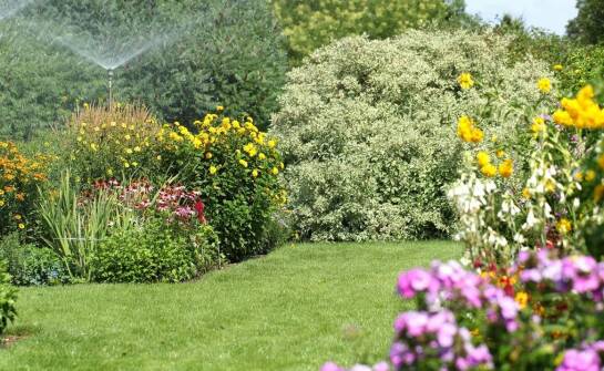 Nowoczesne technologie w serwisie nawadniania ogrodów – przegląd rozwiązań