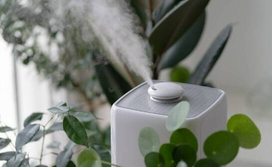 Kichanie u dziecka – jak dobrać odpowiedni nebulizator?