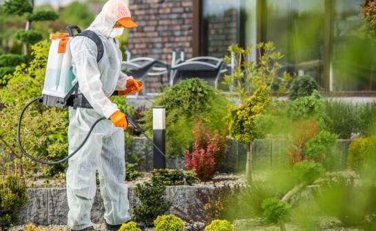 Opryski na komary – jak zapewniamy ich skuteczność i bezpieczeństwo?