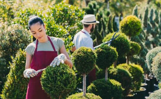 Rola profesjonalnej dezynsekcji w ochronie przed szkodnikami
