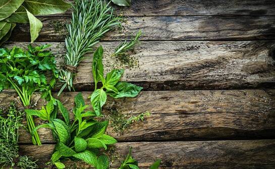 Zioła na odporność: Jakie produkty znajdziesz w zielarskim sklepie internetowym?