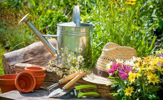 Jakie sekatory ogrodowe są najbardziej przyjazne dla środowiska?