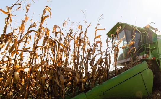 Aus welchen Elementen bestehen Maispflücker?