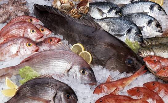 Krewetki cena: jak dostosować ofertę do budżetu klienta?