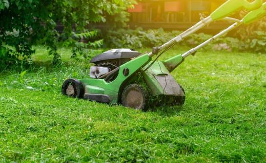 Koszenie trawy a ochrona środowiska – jak to pogodzić?
