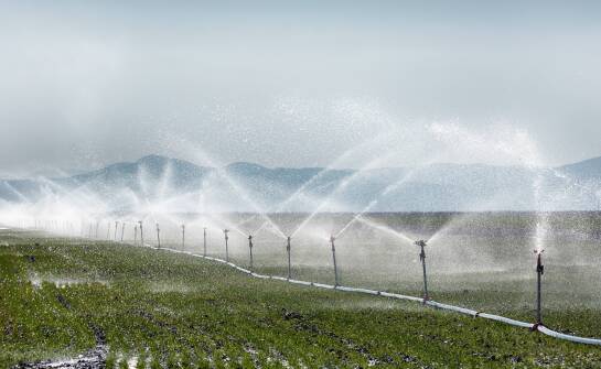 Jakie są najnowsze rozwiązania w dziedzinie automatycznego podlewania?