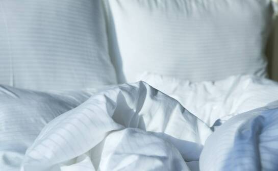 Wpływ pierza z gęsi siwych na trwałość i wytrzymałość kołder