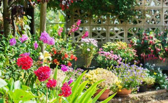 Jakie czynniki wpływają na wybór odpowiedniego systemu nawadniającego dla Twojego ogrodu?