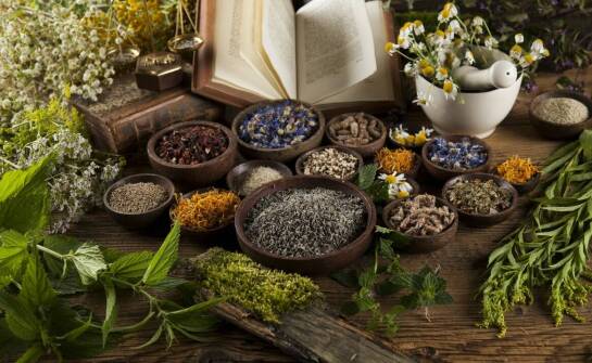 Wyprzedaż książek o ziołolecznictwie – jak upolować okazje