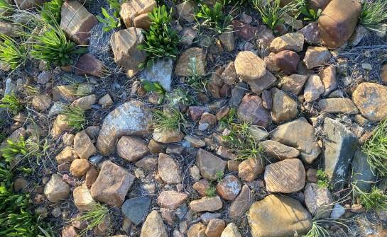 Kiedy konieczne jest przeprowadzenie badań zanieczyszczenia gruntu?