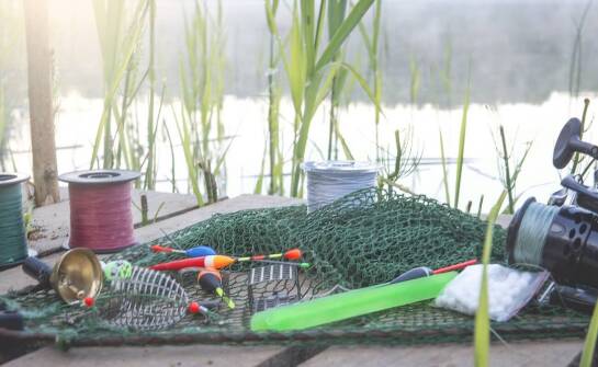 Żywołapka na wydrę – jak zapewnić skuteczne działanie pułapki?