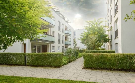 Spędź święta w wyjątkowej atmosferze – oferta Apartamentów Nad Lipami