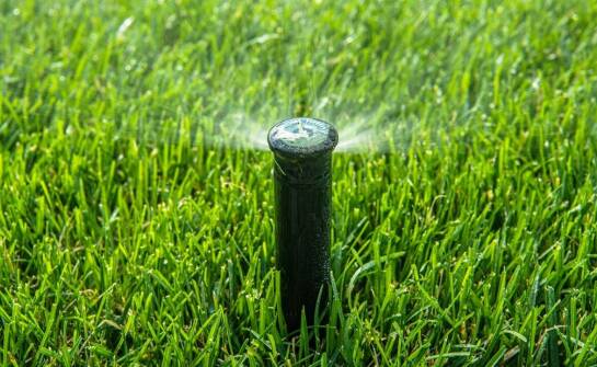 Zalety profesjonalnego montażu systemów zraszaczy